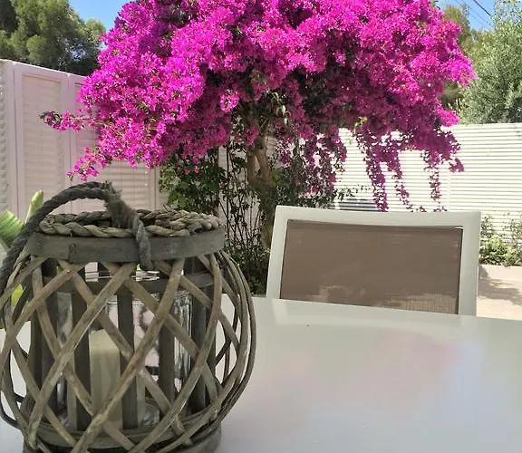 Le Case Di Ada סנטה צזריה טרמה