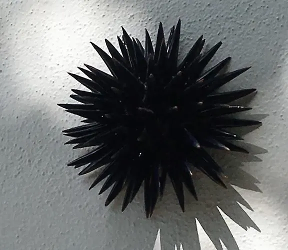 Le Case Di Ada בית נופש סנטה צזריה טרמה