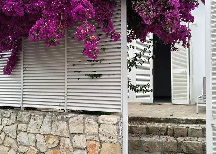 Le Case Di Ada * סנטה צזריה טרמה